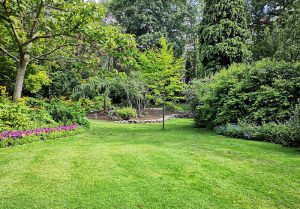 Optimiser l'expérience du jardin à Juvincourt-et-Damary